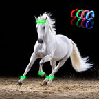 🐎 LED-benstropper for hester – sett med 4 deler | Sikkerhetslys for nattridning ✨